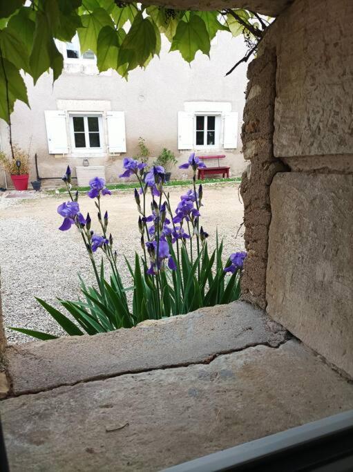 Gite De Charme - 3 Chambres, 5 Lits - De 4 A 7 Personnes Авантон Экстерьер фото